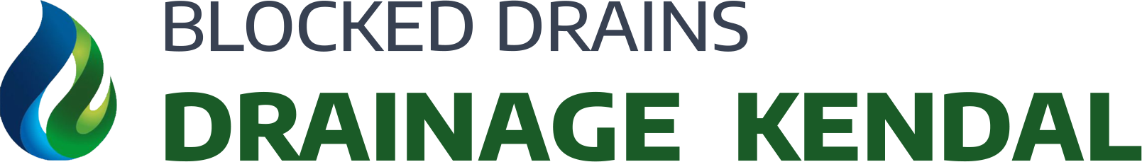 website logo